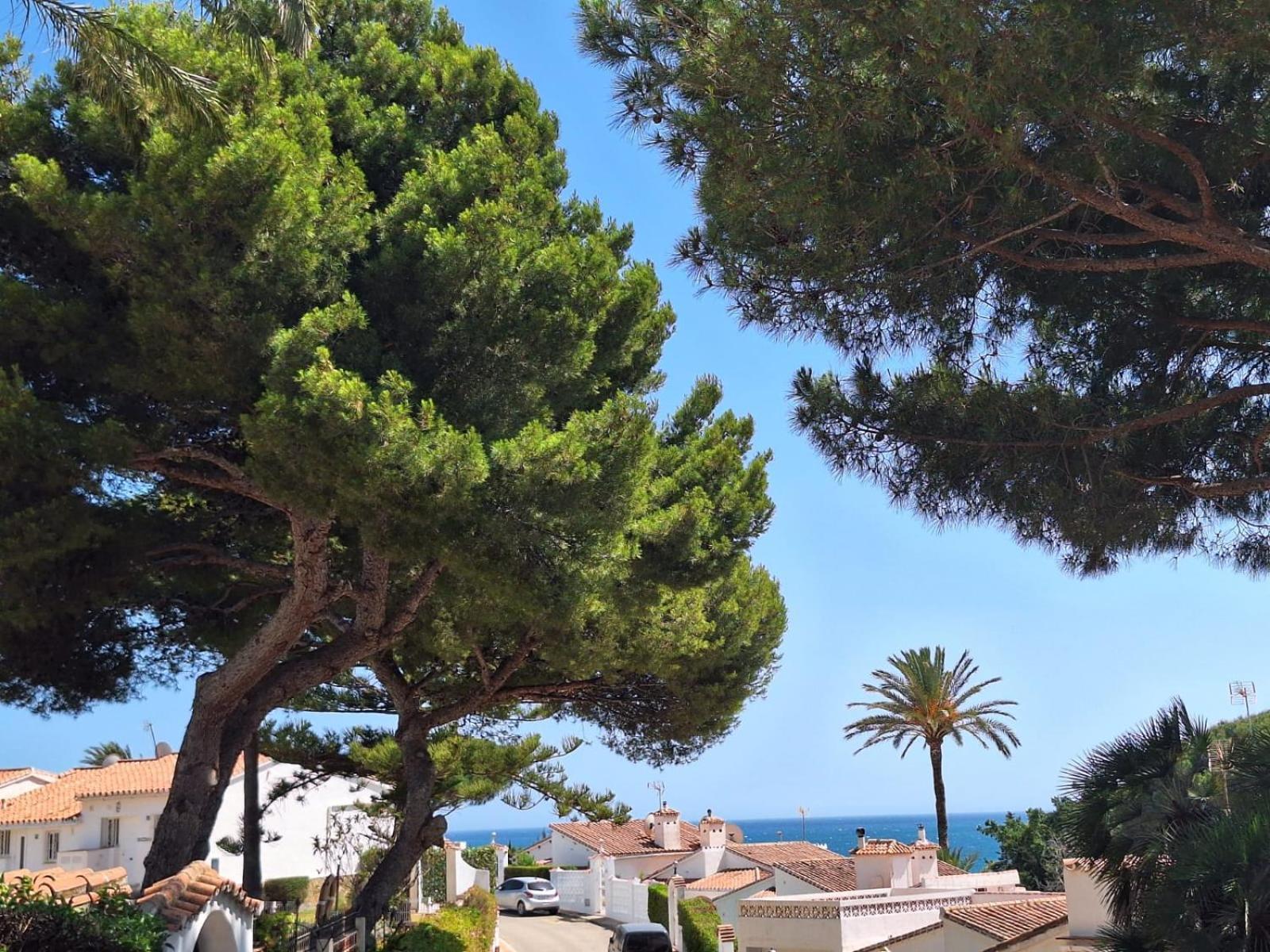 La Casa Catharina Apartman Málaga Kültér fotó