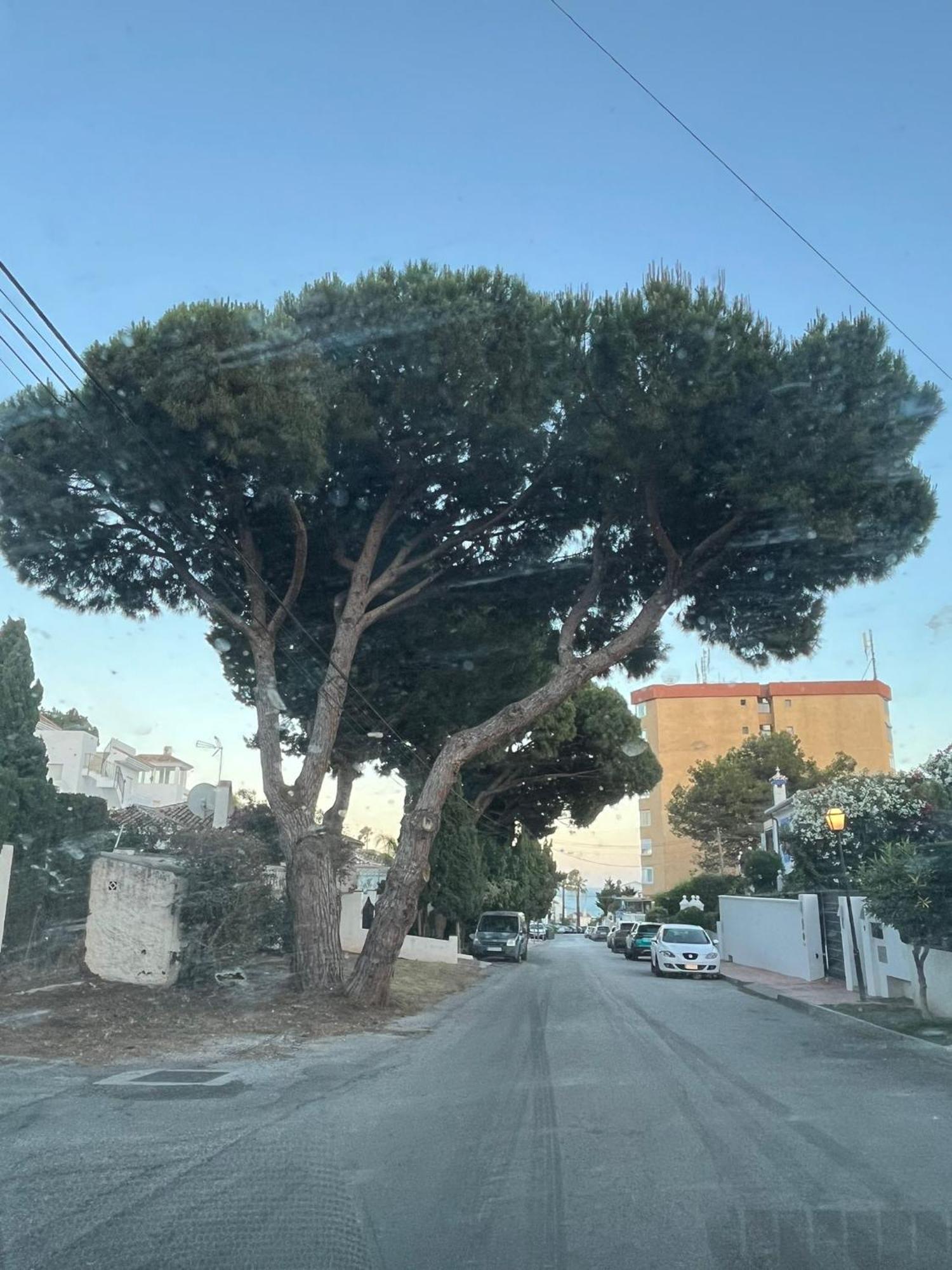 La Casa Catharina Apartman Málaga Kültér fotó